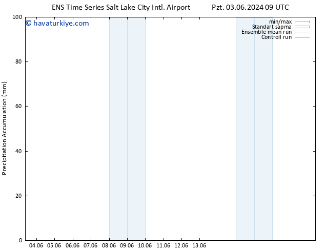 Toplam Yağış GEFS TS Cu 07.06.2024 15 UTC