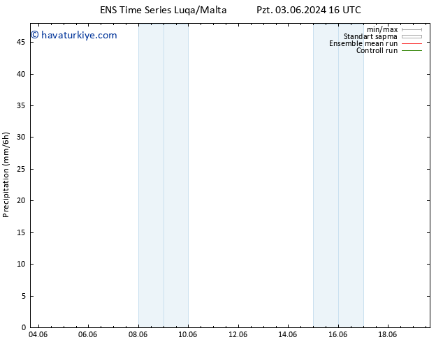 Yağış GEFS TS Paz 16.06.2024 16 UTC