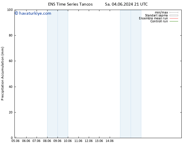 Toplam Yağış GEFS TS Cu 07.06.2024 15 UTC