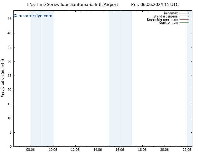 Yağış GEFS TS Pzt 10.06.2024 17 UTC