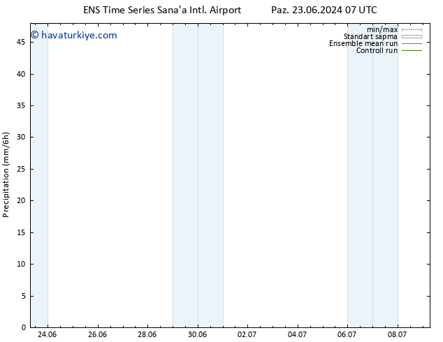 Yağış GEFS TS Pzt 01.07.2024 19 UTC