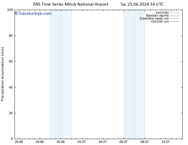 Toplam Yağış GEFS TS Pzt 01.07.2024 14 UTC