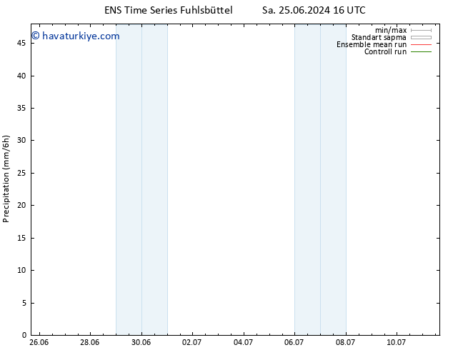 Yağış GEFS TS Sa 02.07.2024 16 UTC