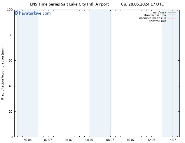 Toplam Yağış GEFS TS Cts 29.06.2024 17 UTC