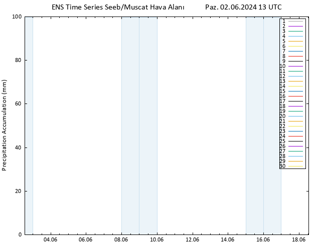 Toplam Yağış GEFS TS Paz 02.06.2024 19 UTC