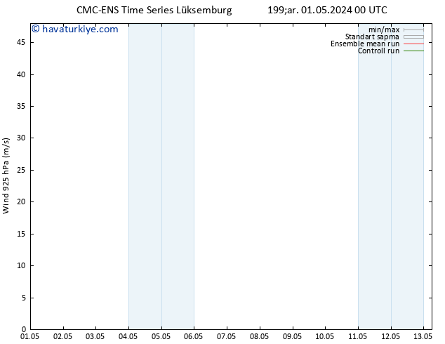 Rüzgar 925 hPa CMC TS Pzt 13.05.2024 06 UTC