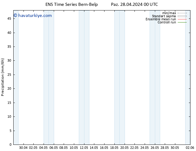 Yağış GEFS TS Paz 12.05.2024 12 UTC