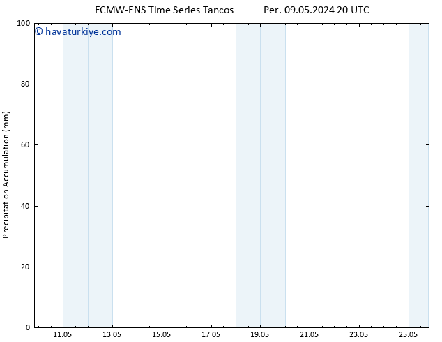 Toplam Yağış ALL TS Cts 11.05.2024 14 UTC