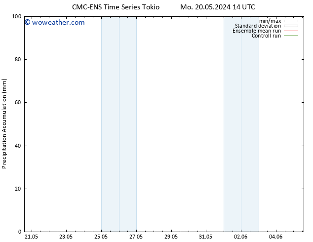 Precipitation accum. CMC TS We 29.05.2024 14 UTC