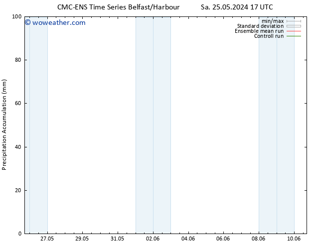 Precipitation accum. CMC TS Su 26.05.2024 17 UTC