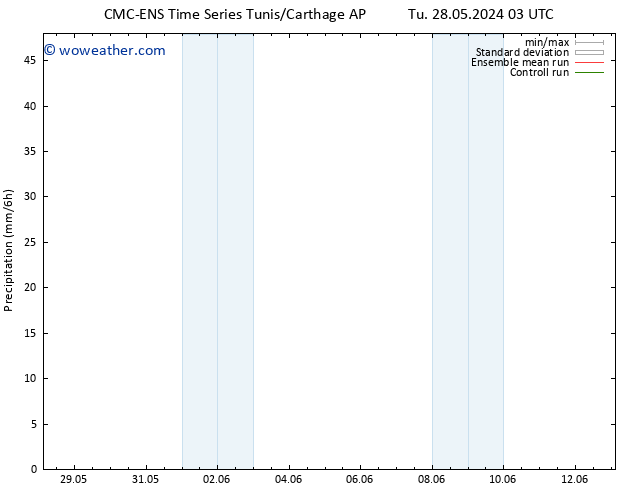 Precipitation CMC TS Tu 28.05.2024 03 UTC