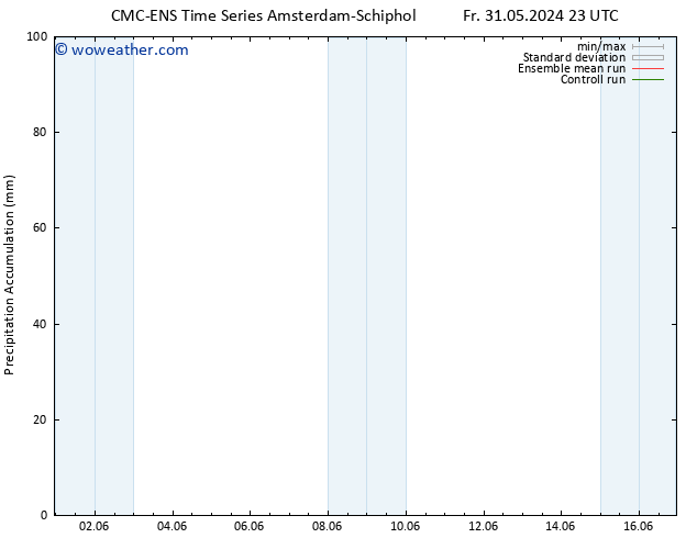 Precipitation accum. CMC TS Tu 04.06.2024 11 UTC