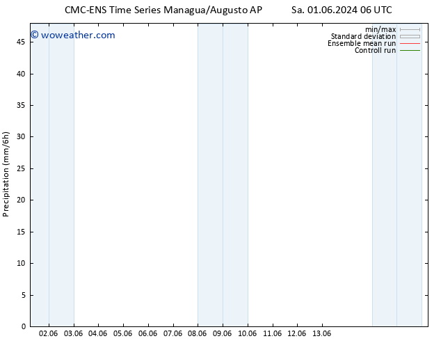 Precipitation CMC TS Th 06.06.2024 06 UTC