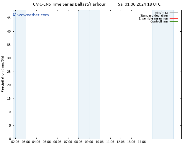 Precipitation CMC TS Su 02.06.2024 00 UTC