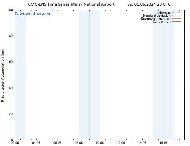 Precipitation accum. CMC TS Su 02.06.2024 23 UTC