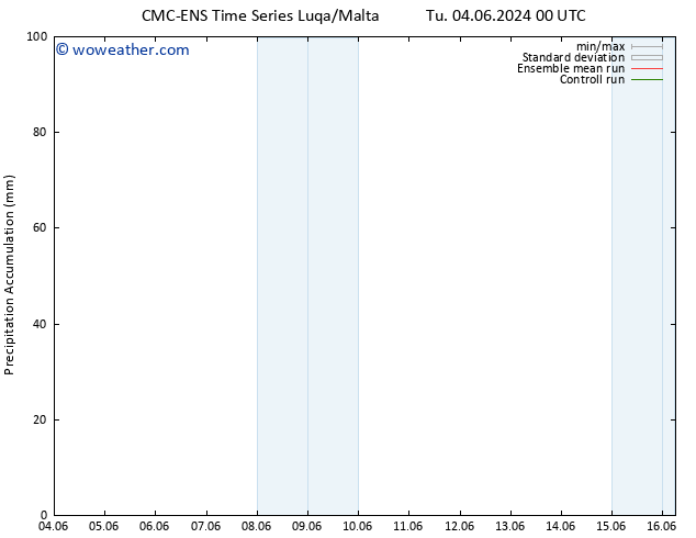 Precipitation accum. CMC TS Tu 04.06.2024 00 UTC