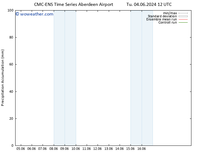 Precipitation accum. CMC TS Tu 04.06.2024 12 UTC