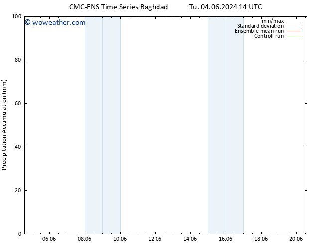 Precipitation accum. CMC TS We 05.06.2024 14 UTC