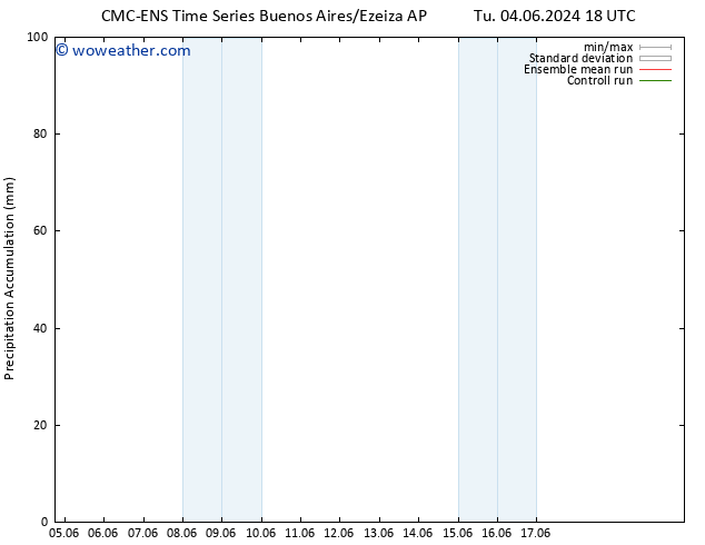 Precipitation accum. CMC TS We 05.06.2024 18 UTC