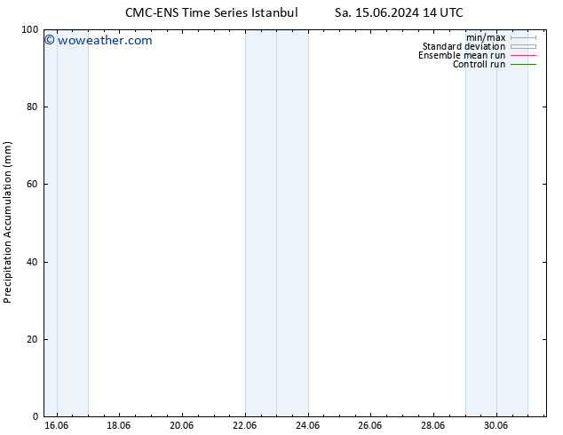 Precipitation accum. CMC TS Th 20.06.2024 08 UTC