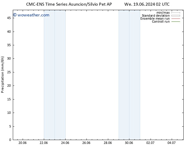Precipitation CMC TS We 19.06.2024 20 UTC