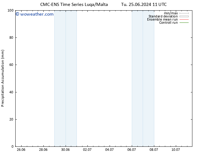 Precipitation accum. CMC TS Fr 05.07.2024 11 UTC