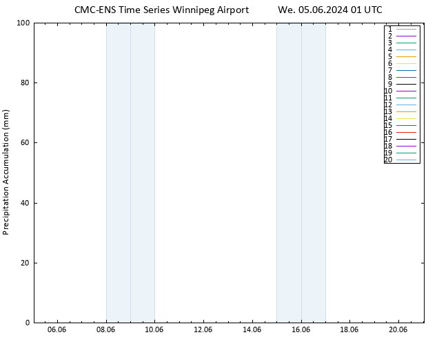 Precipitation accum. CMC TS We 05.06.2024 01 UTC