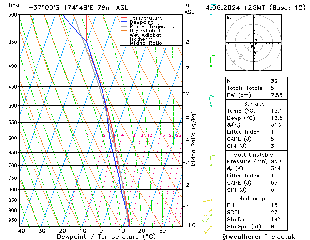 Model temps GFS pt. 14.06.2024 12 UTC