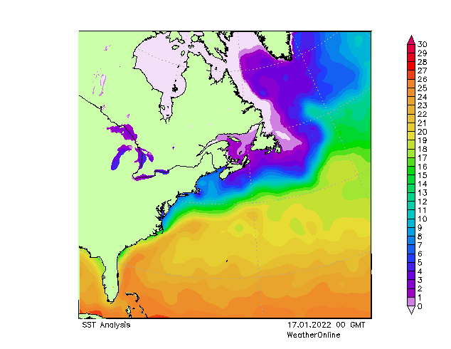 Atlantic Ocean SST Mo 17.01.2022 00 UTC