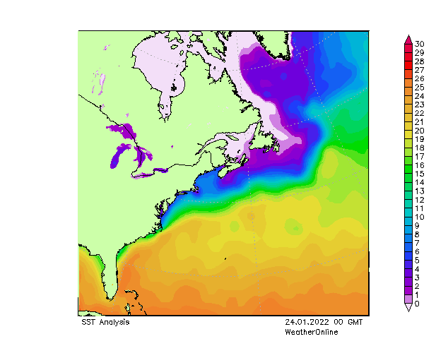 Atlantic Ocean SST Mo 24.01.2022 00 UTC