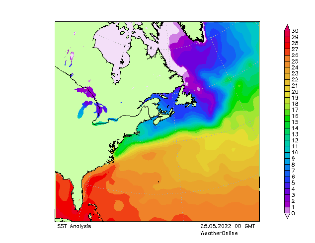 Atlantic Ocean SST We 25.05.2022 00 UTC