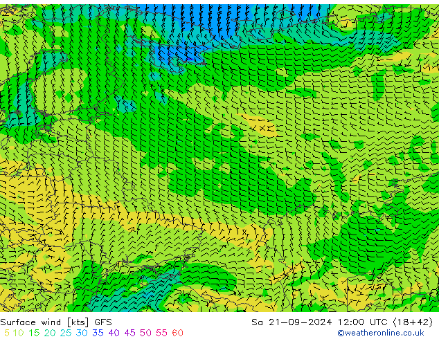  Cts 21.09.2024 12 UTC