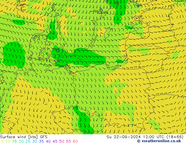  10 m GFS  22.09.2024 12 UTC