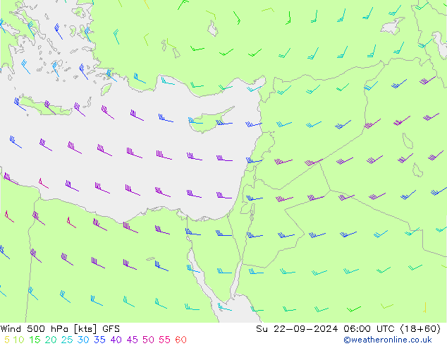  nie. 22.09.2024 06 UTC