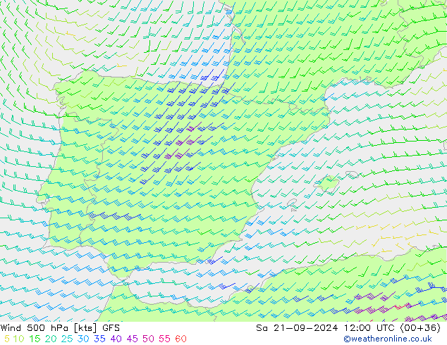  so. 21.09.2024 12 UTC