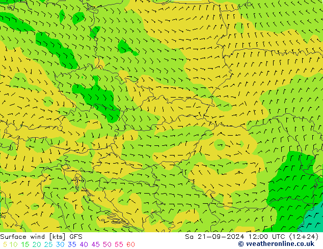  Cts 21.09.2024 12 UTC