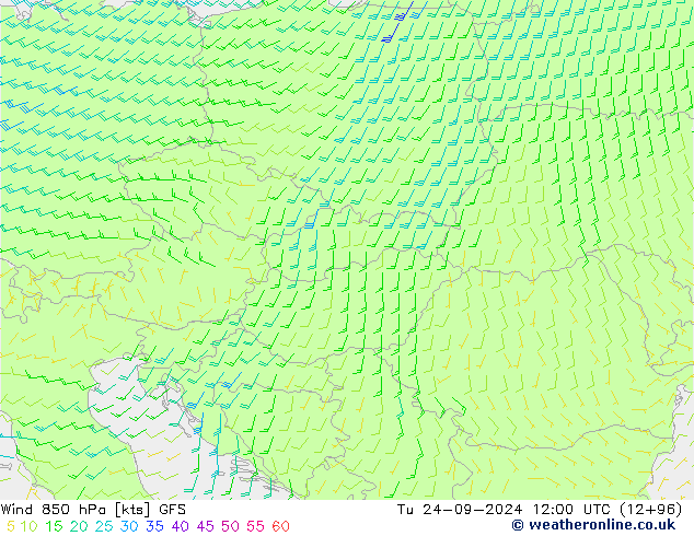  Di 24.09.2024 12 UTC