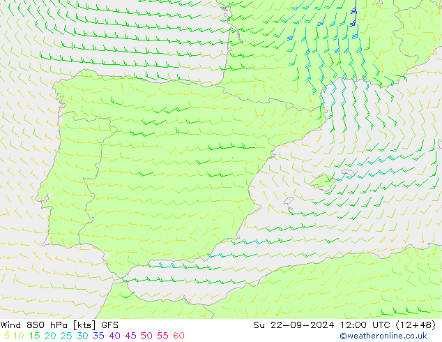  nie. 22.09.2024 12 UTC