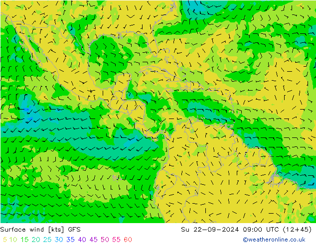  nie. 22.09.2024 09 UTC