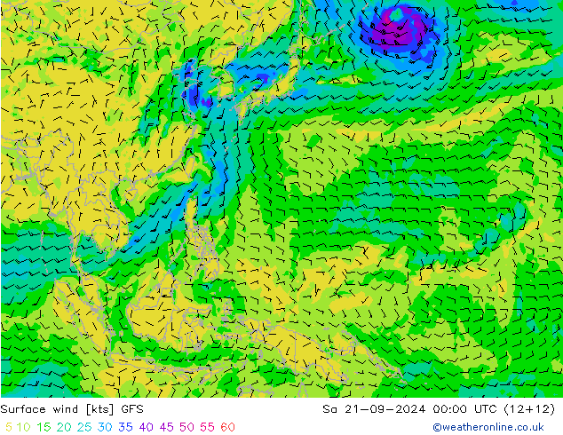 Surface wind GFS So 21.09.2024 00 UTC