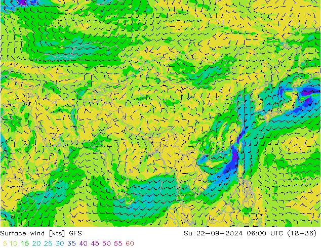  Вс 22.09.2024 06 UTC