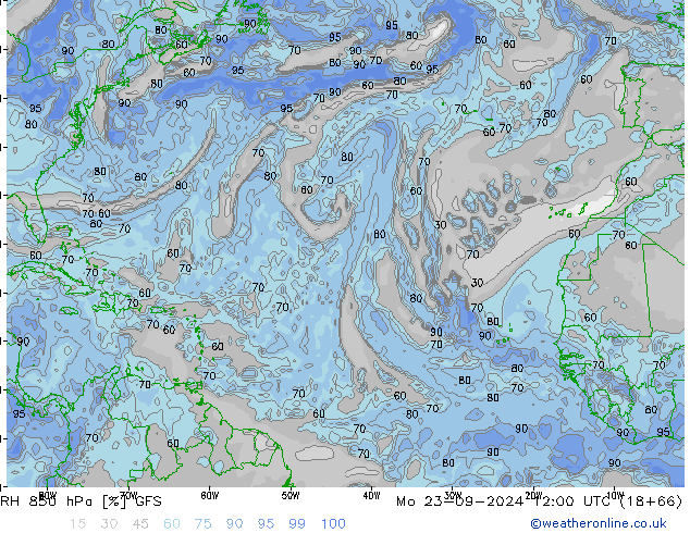  Pzt 23.09.2024 12 UTC