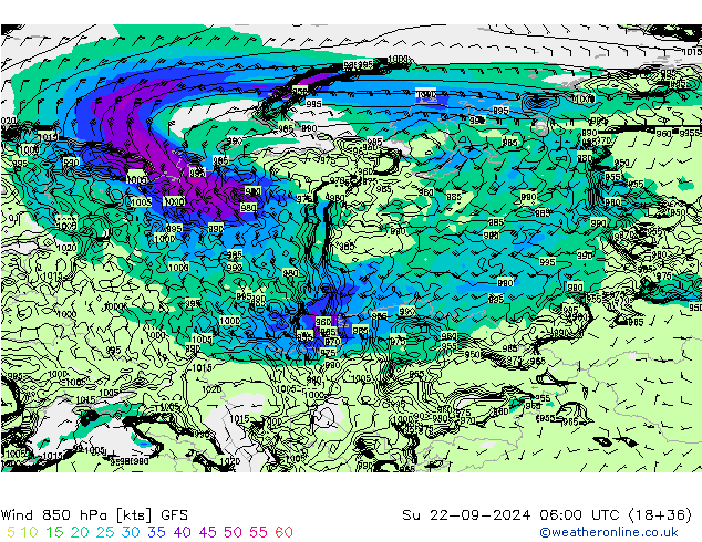 ветер 850 гПа GFS Сентябрь 2024