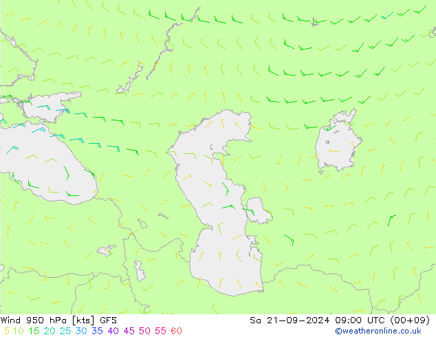 Wind 950 hPa GFS za 21.09.2024 09 UTC