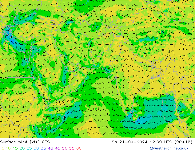 Bodenwind GFS September 2024