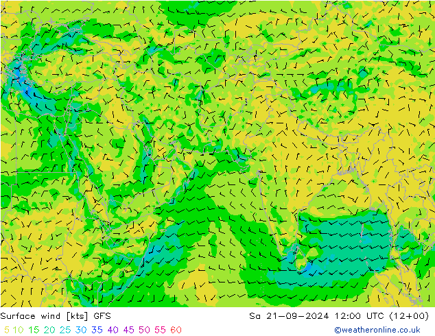 风 10 米 GFS 九月 2024