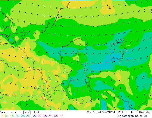 Surface wind GFS We 25.09.2024 12 UTC