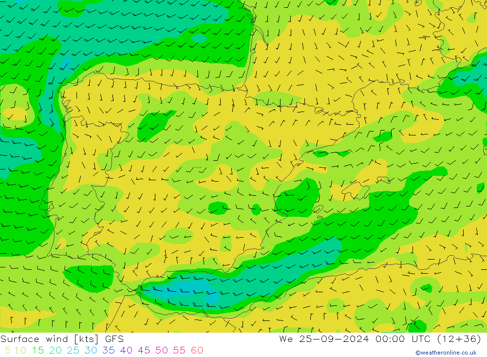  10 m GFS  25.09.2024 00 UTC