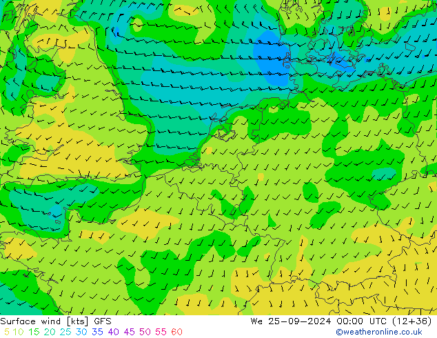 Surface wind GFS We 25.09.2024 00 UTC