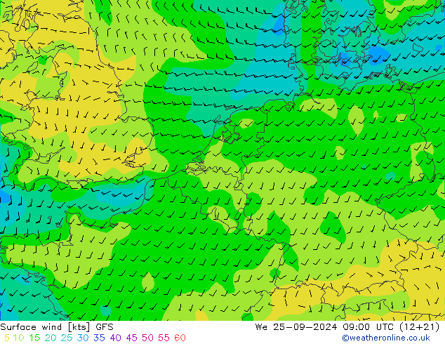 ветер 10 m GFS ср 25.09.2024 09 UTC